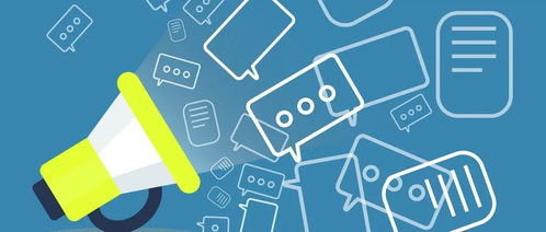 北京市知識產權局網站集約化遷移及運維項目軟件運維服務采購競爭性磋商公告解讀